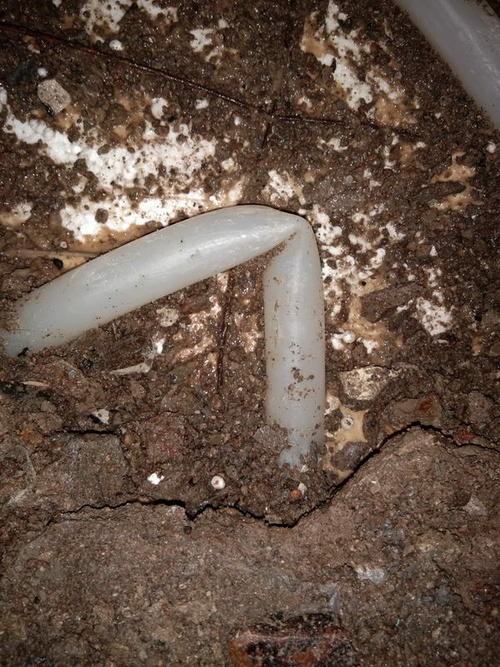 上蔡堵点精准查找